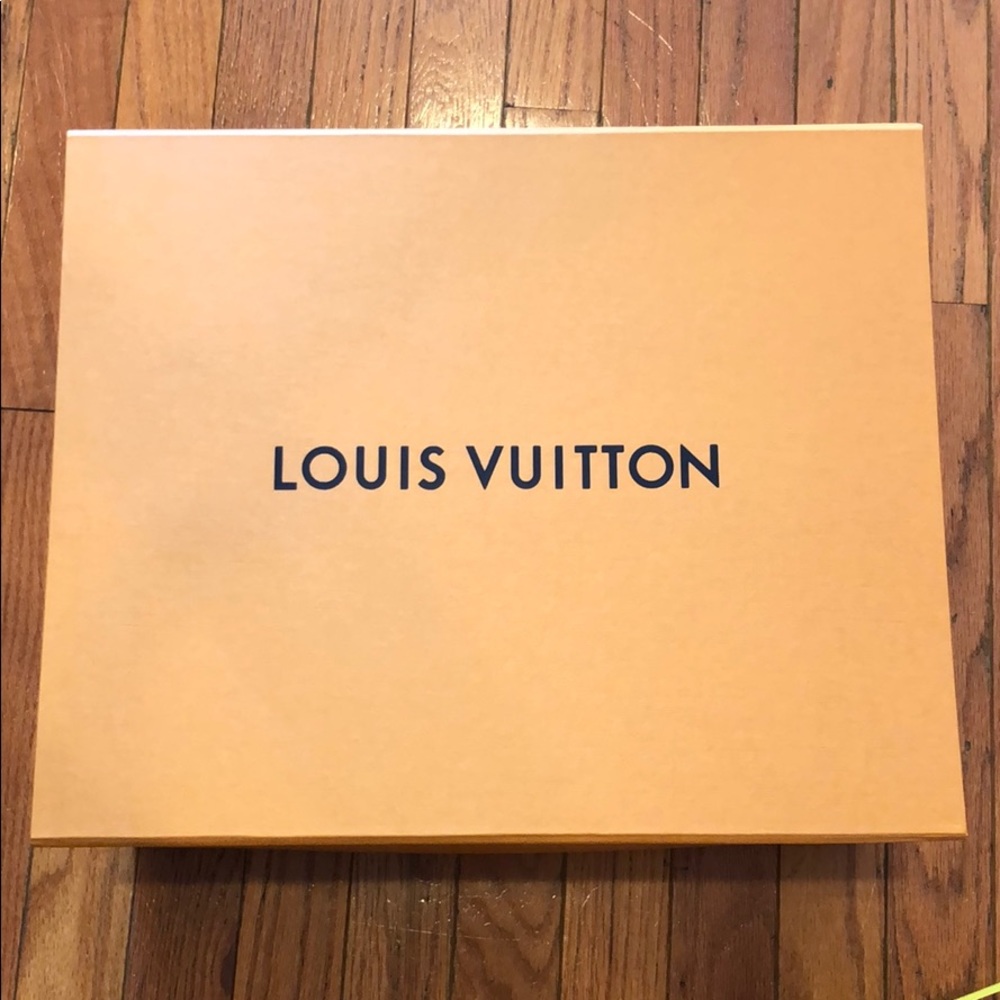 Louis Vuitton purse box